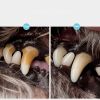 Pets Teeth Cleaning Tools Double Sided Dogs Cats Tartar Remover Dental Stones Stainless Pet Supplies