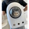 Pet Breathable Traveling Backpack