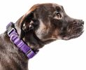 Pet Life 'Aero Mesh' 360 Degree Dual Sided Comfortable And Breathable Adjustable Mesh Dog Collar